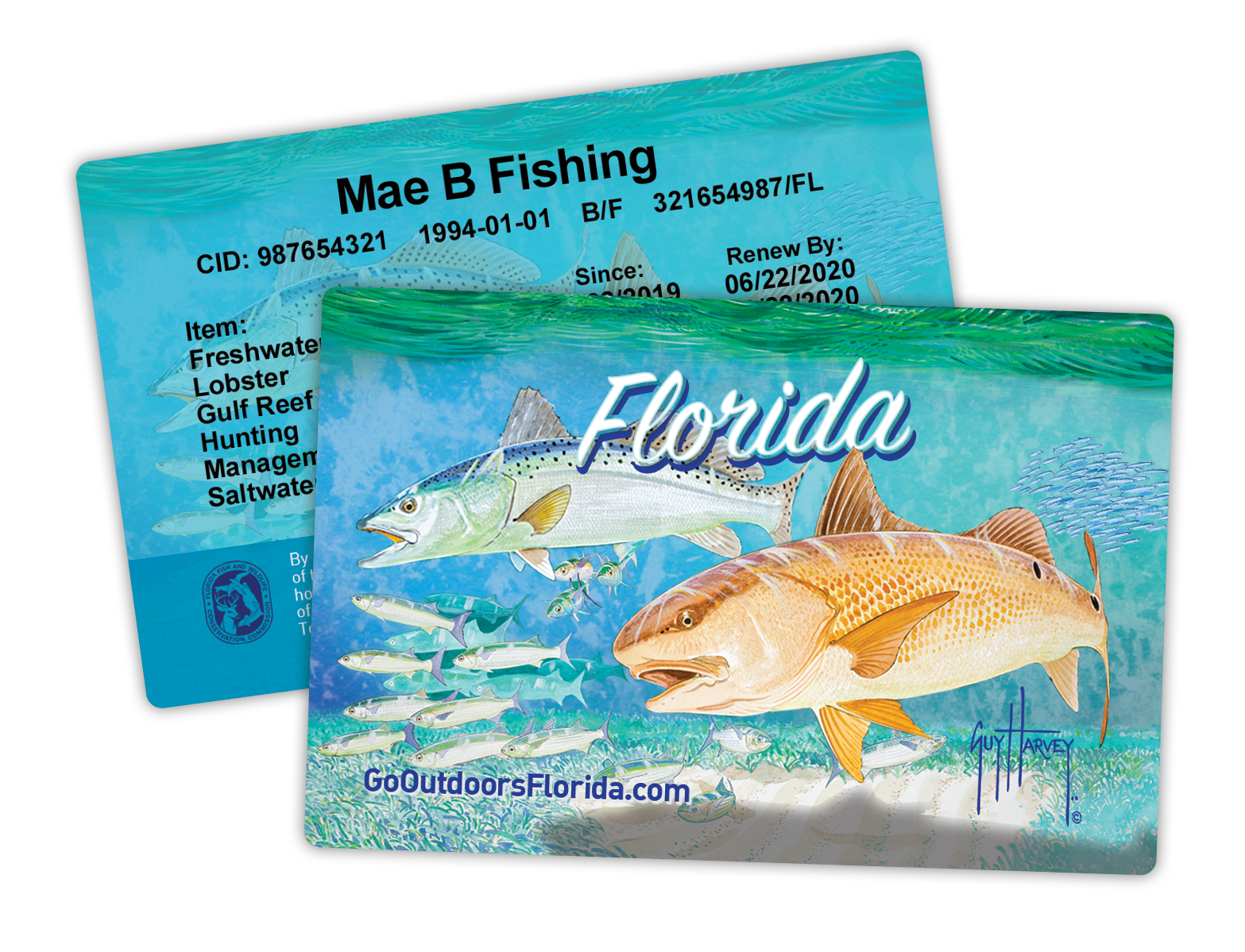 Faqs Florida Hunting Fishing Licenses Go Outdoors Florida